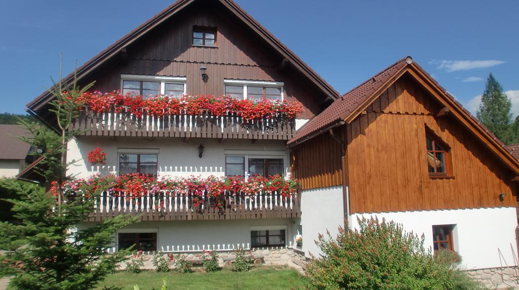 Apartmany Votockovi Rokytnice nad Jizerou Exterior foto